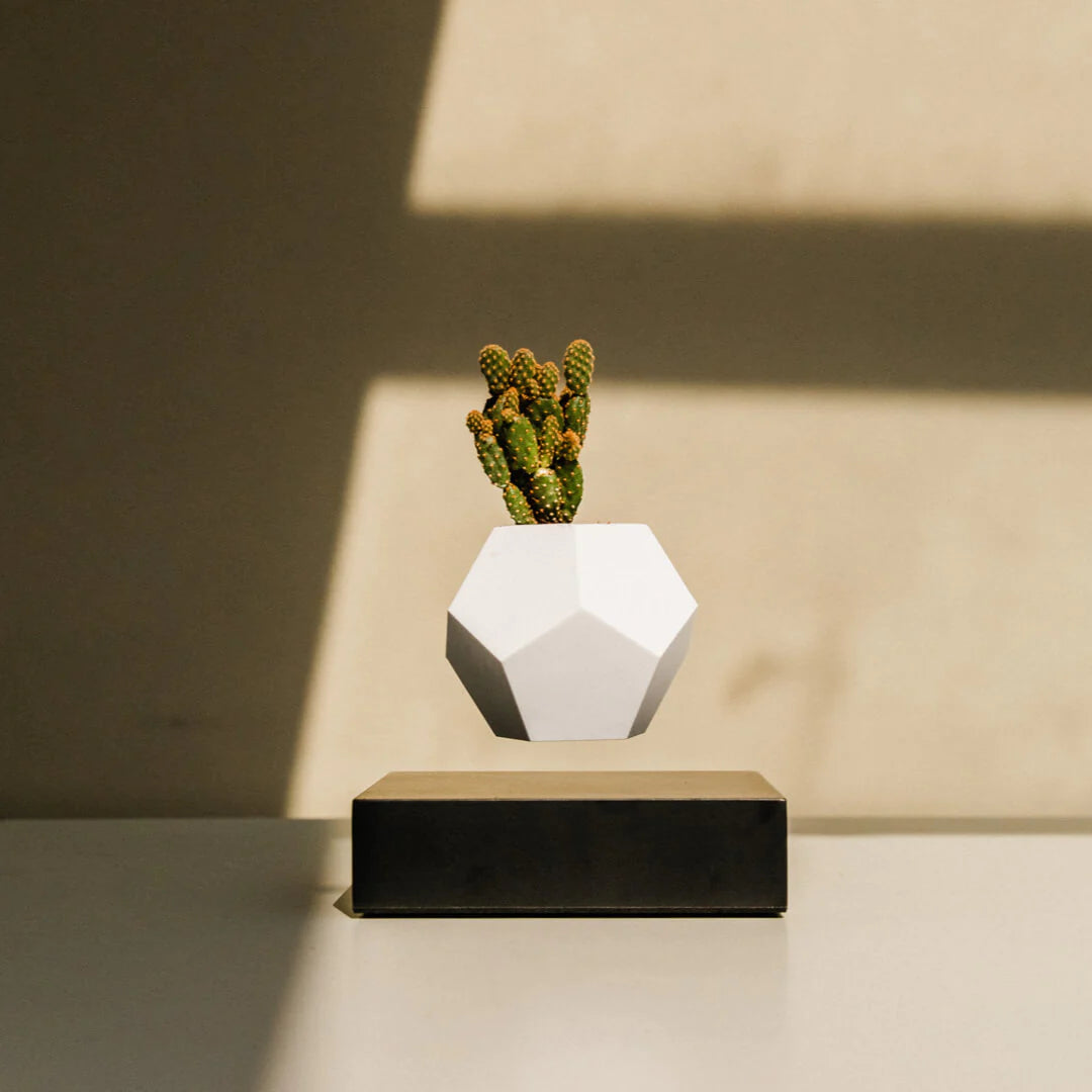 FLYTE Lyfe Silicone skin 12-Sided Geodesic Planter