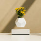 FLYTE Lyfe Silicone skin 12-Sided Geodesic Planter