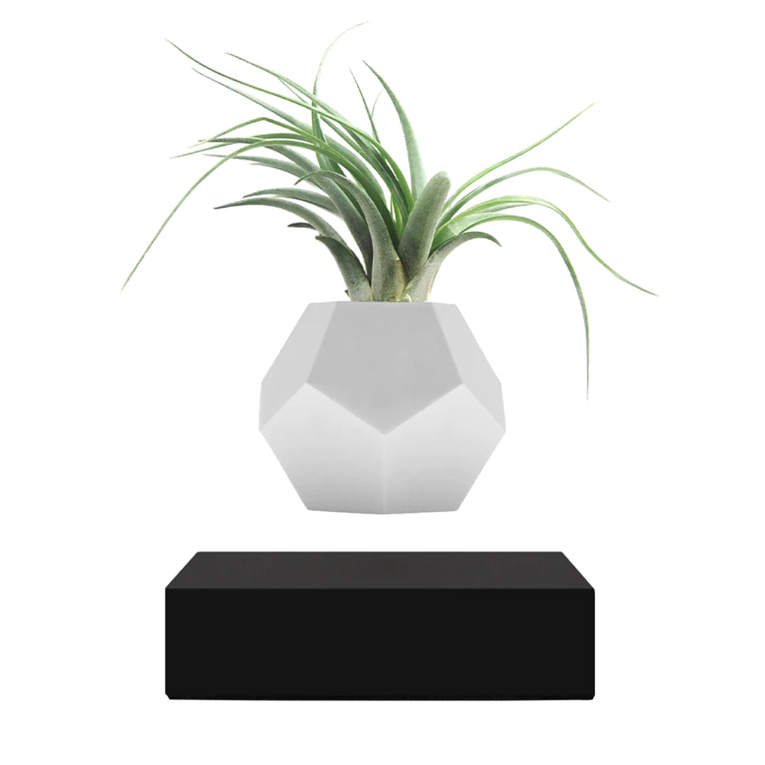 FLYTE Lyfe Silicone skin 12-Sided Geodesic Planter