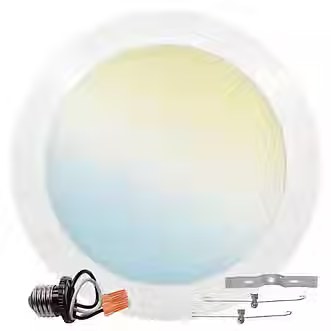 Falkor Industry 6" Disk Downlight-Flush Mount Ceiling Light Fixture