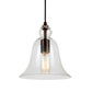 Forte Lighting Milo 8" Steel Antique Bronze Pendant With Clear Glass Shade