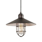 Forte Lighting Ori 10" Steel Antique Bronze Pendant With Cage Metal Shade
