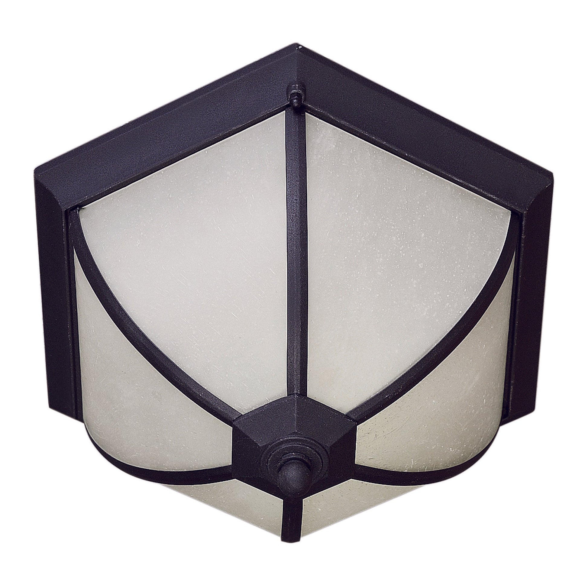 Forte Lighting Ty 14" 2-Light Fluorescent Bulb Steel Black Outdoor Flush Mount With Frosted Seeded Glass Shade