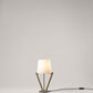 G.Luce Zena 16" Light Satin Gold Table Lamp With Opal Glass Shade