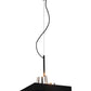 HomeRoots 14" x 14" x 59" Stainless Steel Pendant Lamp in Black Finish