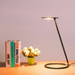 HomeRoots 15" Silver Metal Desk Table Lamp With Silver Shade