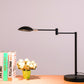 HomeRoots 16" Metal Desk Table Lamp With Dome Shade in Black Finish