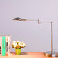 HomeRoots 16" Metal Desk Table Lamp With Dome Shade in Silver Finish