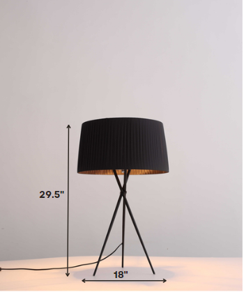 HomeRoots 18" x 18" x 29.5" Carbon Steel Table Lamp in Black Finish