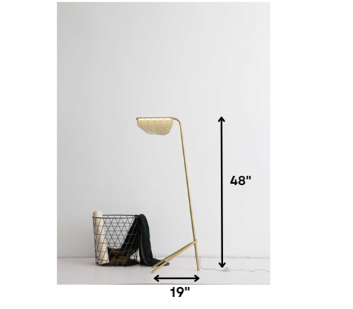 HomeRoots 19" x 11" x 48" Floor Lamp With Golden Carbon Finish