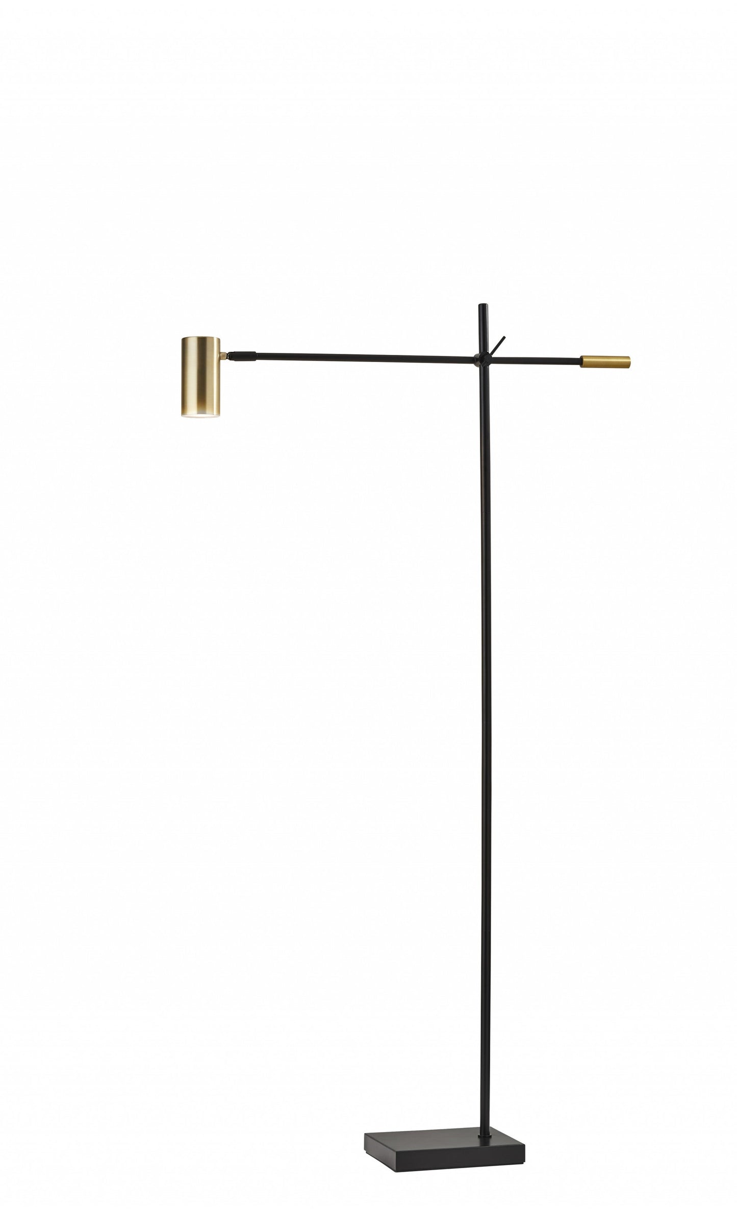 HomeRoots 63" Task Floor Lamp in Matte Black Finish