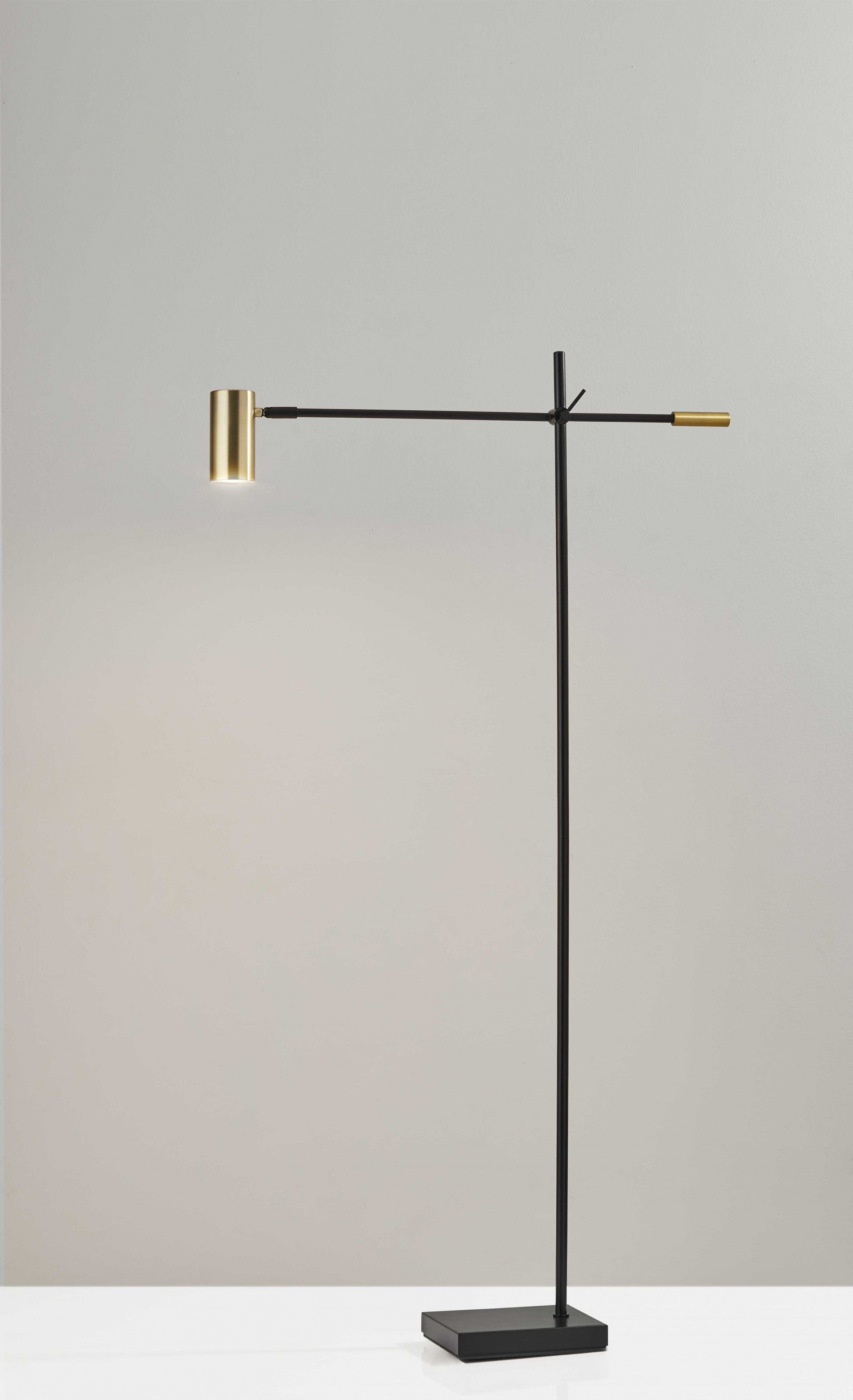 HomeRoots 63" Task Floor Lamp in Matte Black Finish