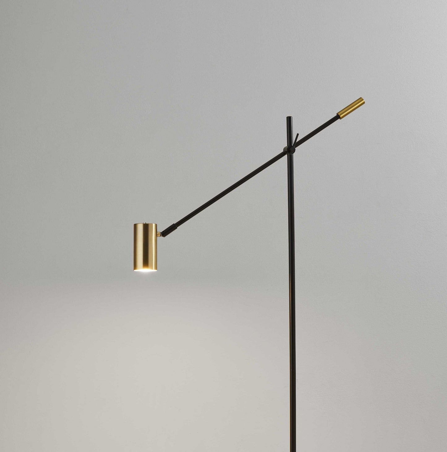 HomeRoots 63" Task Floor Lamp in Matte Black Finish