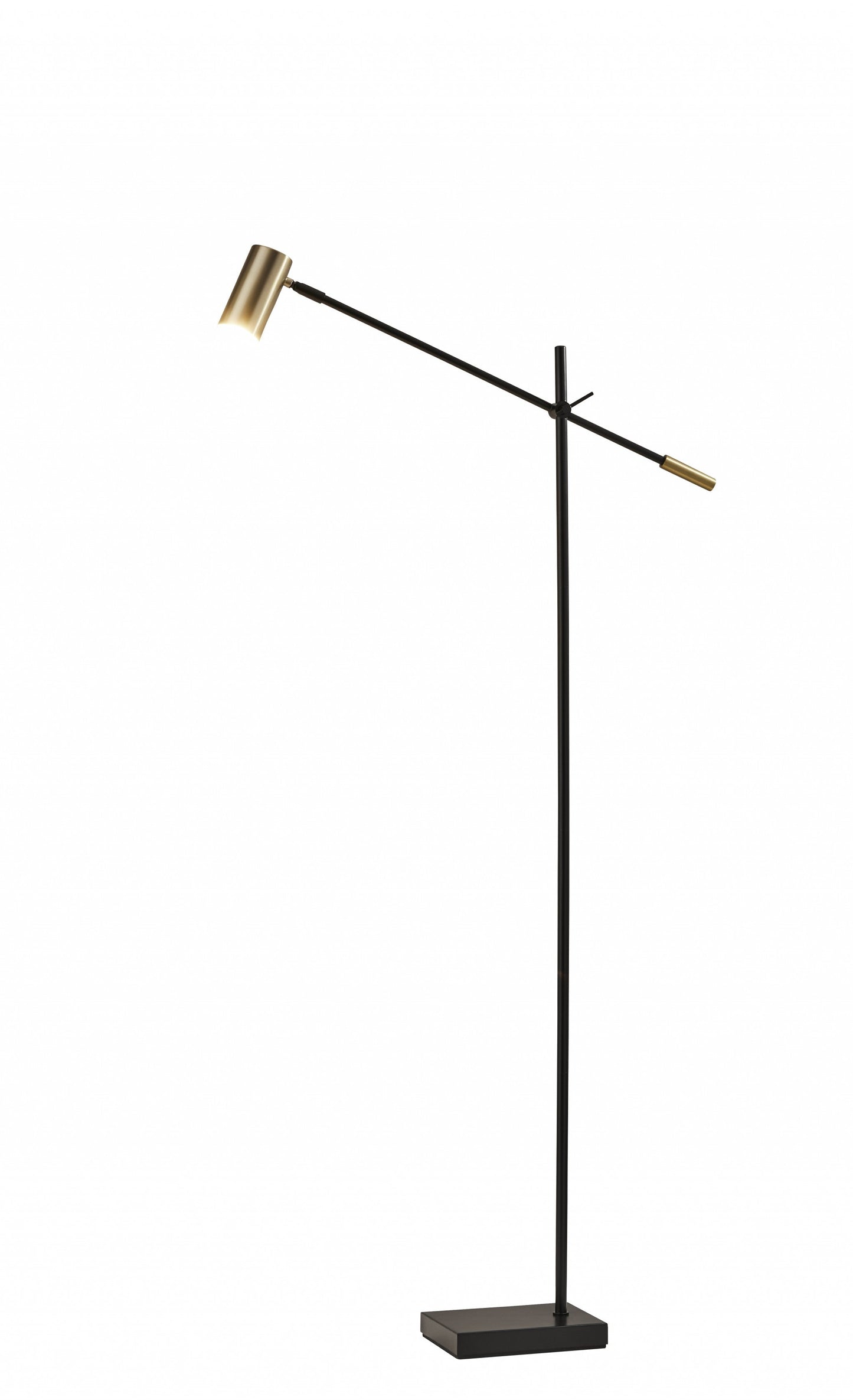 HomeRoots 63" Task Floor Lamp in Matte Black Finish