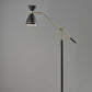 HomeRoots 66" Task Floor Lamp With Cone Shade in Black Finish