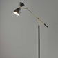 HomeRoots 66" Task Floor Lamp With Cone Shade in Black Finish