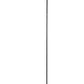 HomeRoots 72" LED Torchiere Floor Lamp in Black Finish