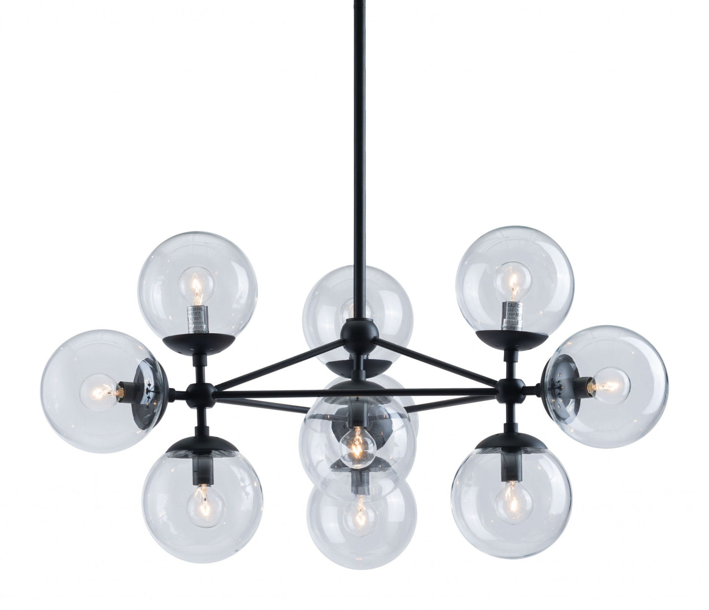 HomeRoots Abundant Ceiling Lamp in Black Finish