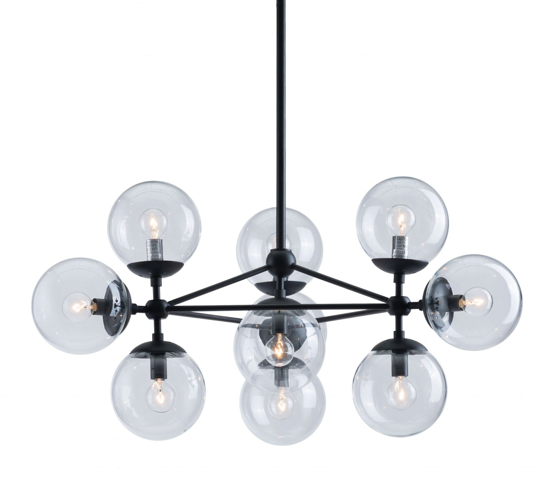 HomeRoots Abundant Ceiling Lamp in Black Finish