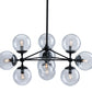 HomeRoots Abundant Ceiling Lamp in Black Finish