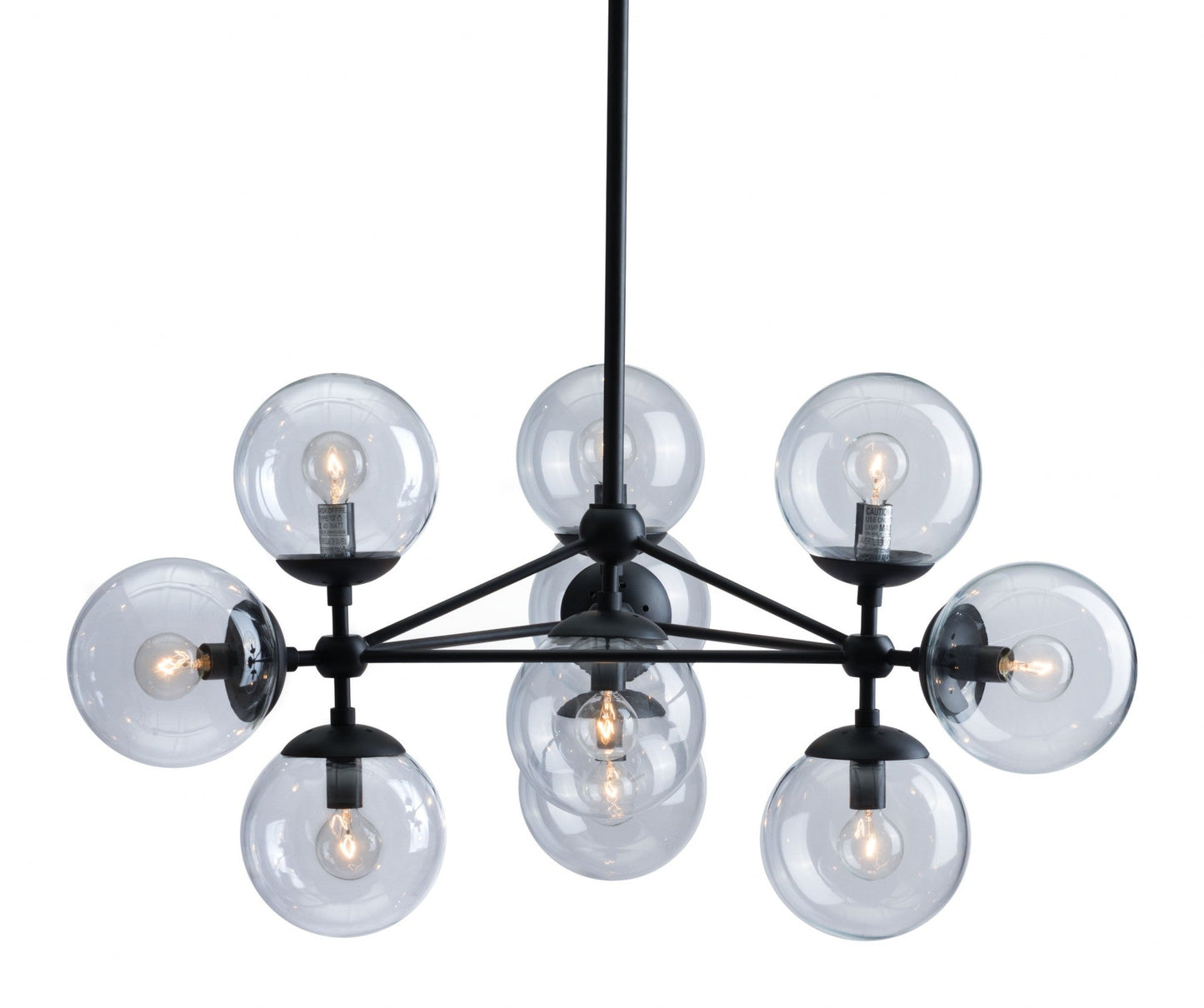 HomeRoots Abundant Ceiling Lamp in Black Finish