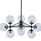 HomeRoots Abundant Ceiling Lamp in Black Finish