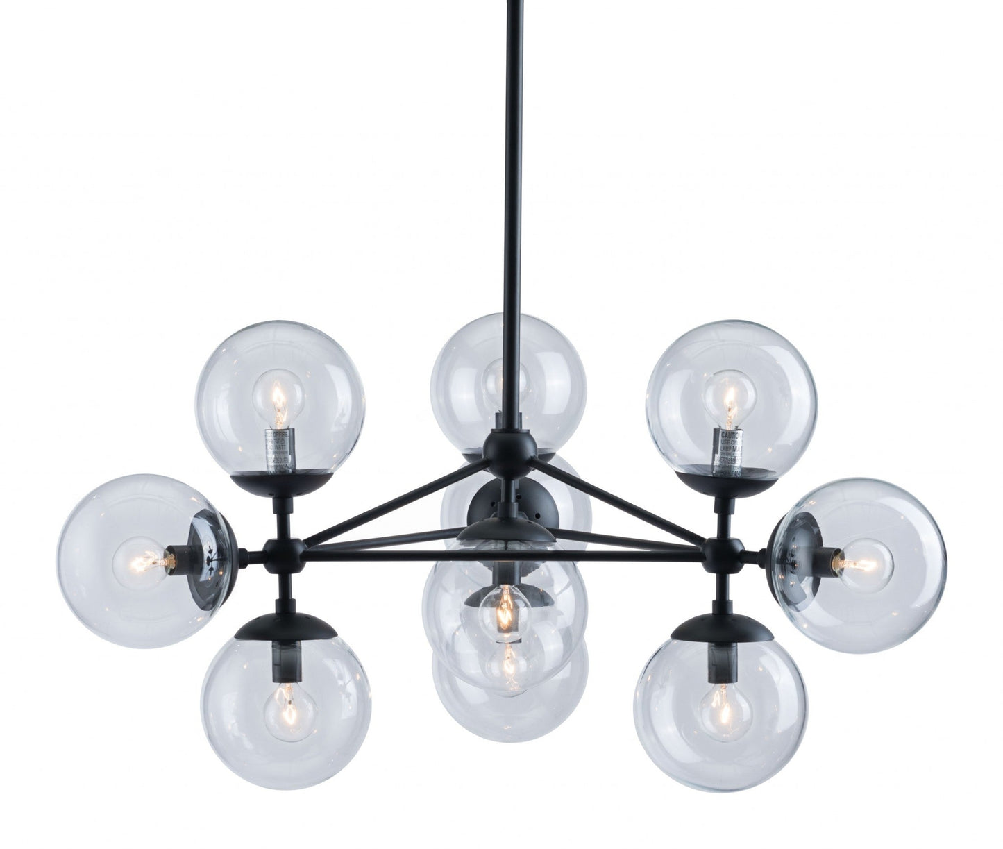 HomeRoots Abundant Ceiling Lamp in Black Finish