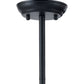 HomeRoots Abundant Ceiling Lamp in Black Finish