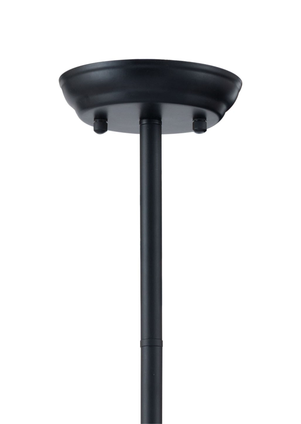 HomeRoots Abundant Ceiling Lamp in Black Finish