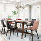 HomeRoots Abundant Ceiling Lamp in Black Finish