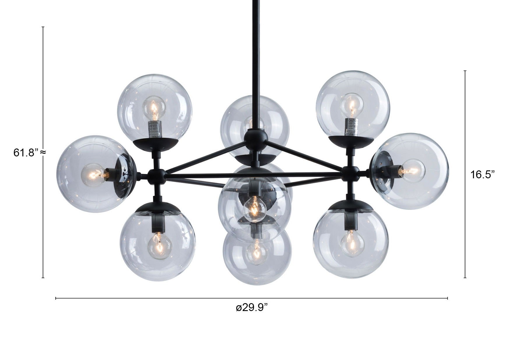 HomeRoots Abundant Ceiling Lamp in Black Finish