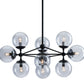 HomeRoots Abundant Ceiling Lamp in Black Finish