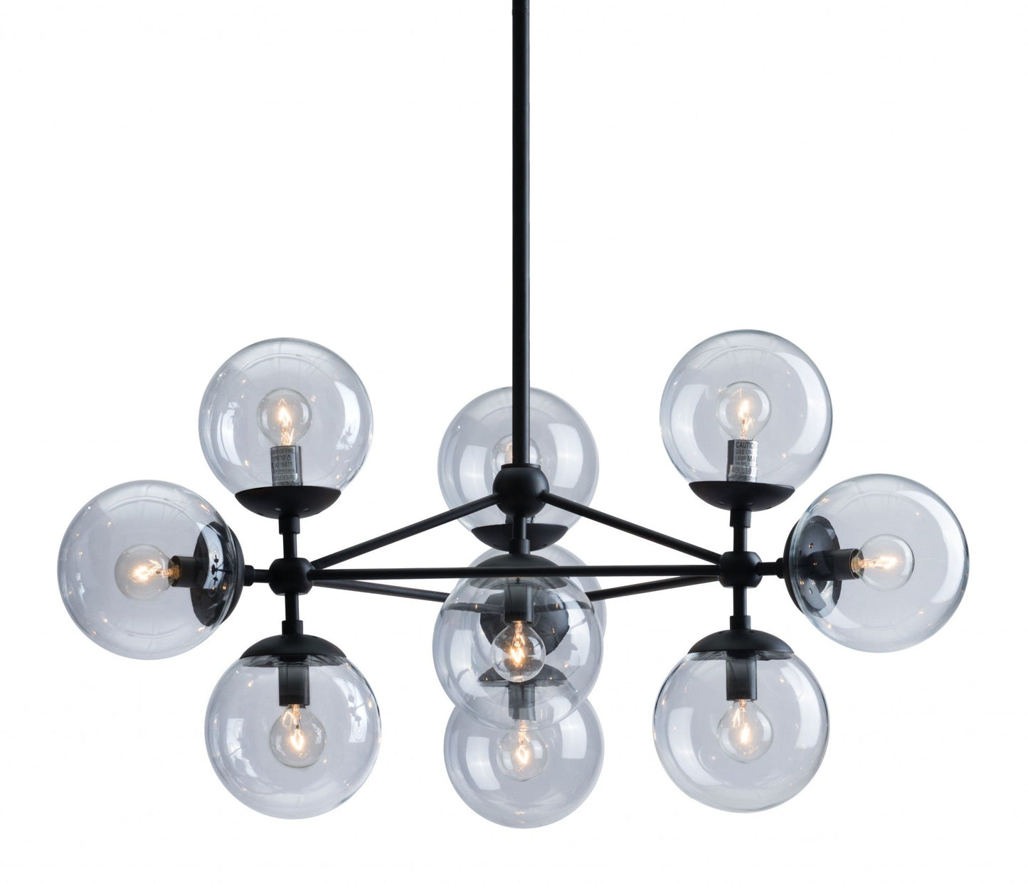 HomeRoots Abundant Ceiling Lamp in Black Finish