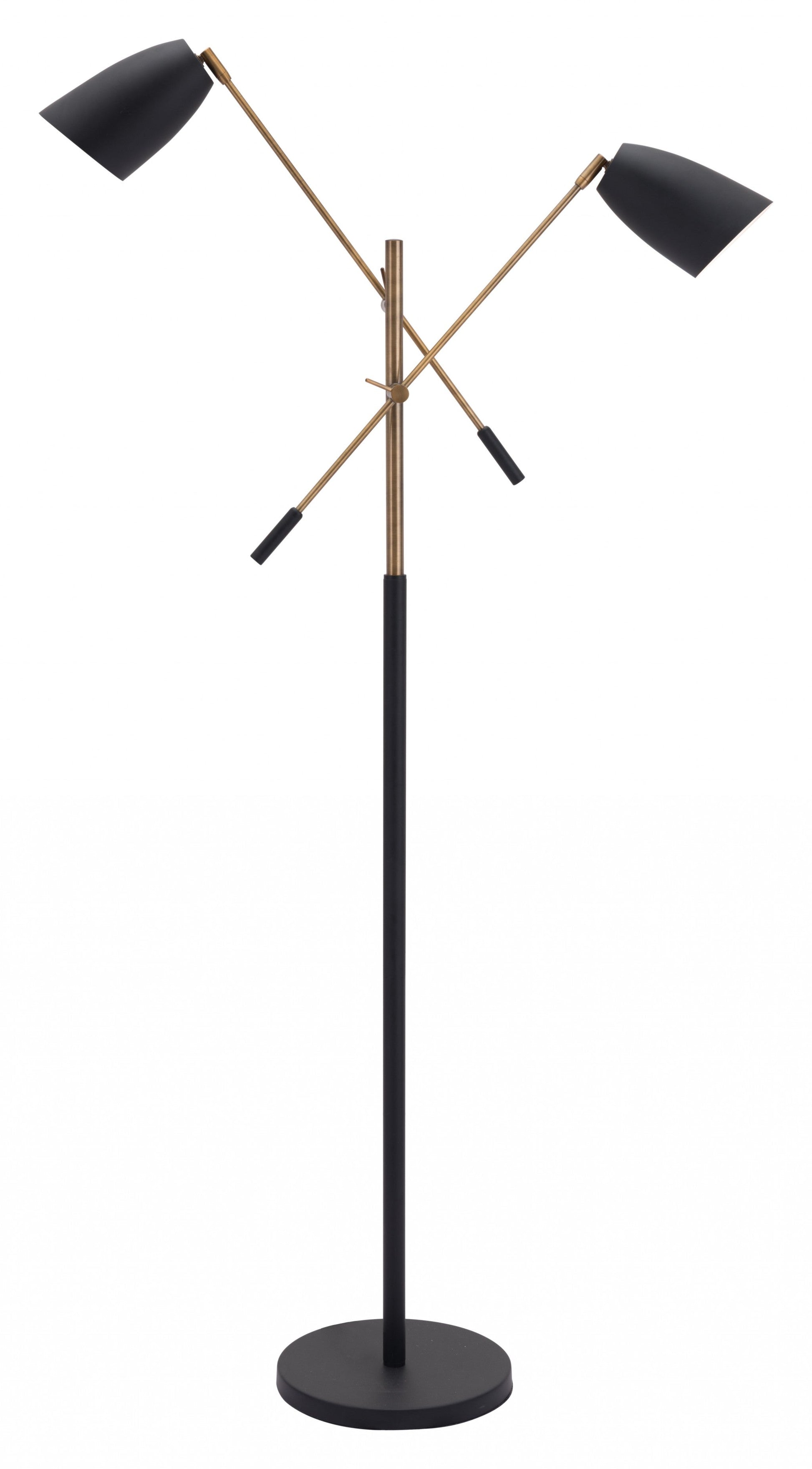 HomeRoots Adjustable Floor Lamp With Black and Gold Finish