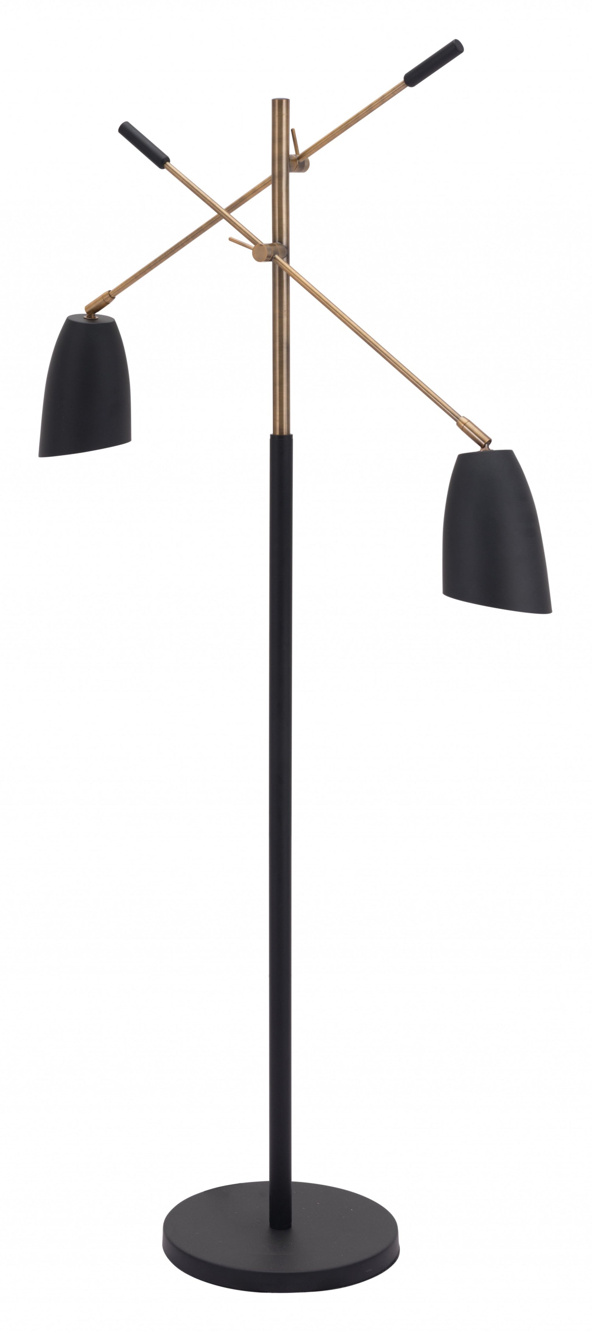 HomeRoots Adjustable Floor Lamp With Black and Gold Finish