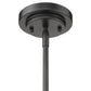 HomeRoots Amoret 4-Light Convertible Pendant in Matte Black Finish