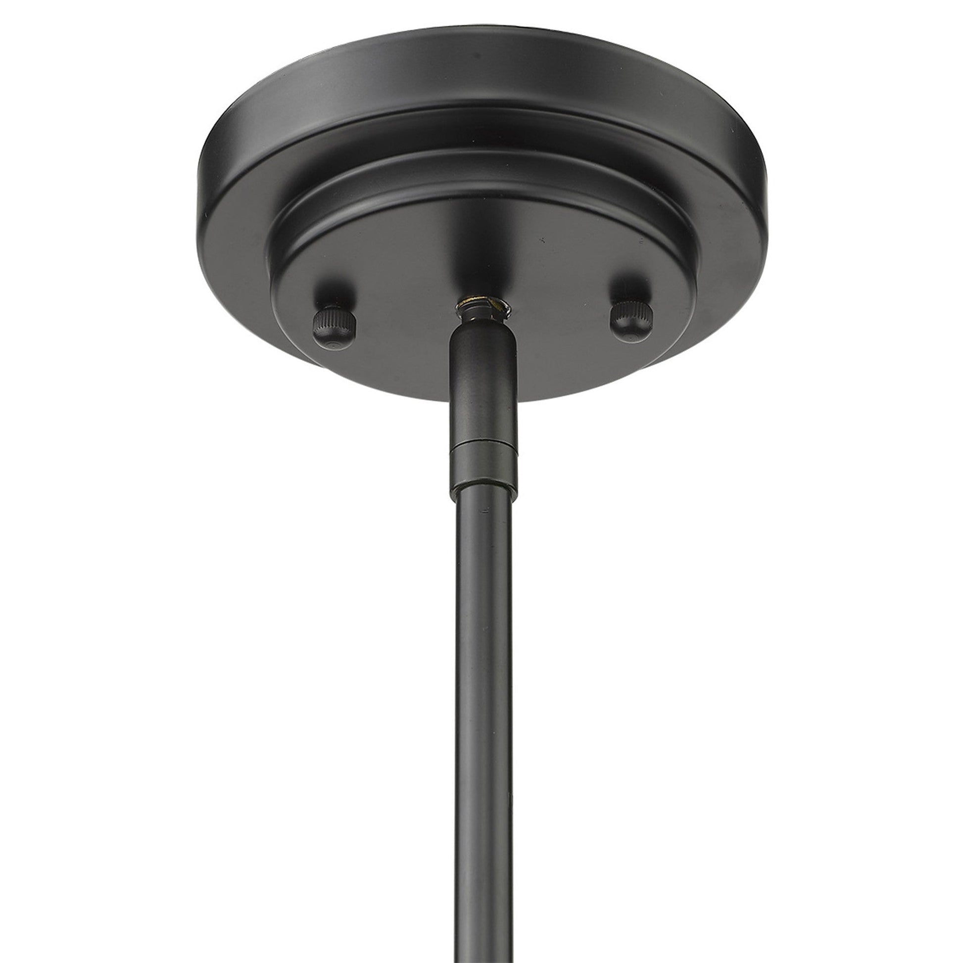 HomeRoots Amoret 4-Light Convertible Pendant in Matte Black Finish