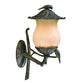 HomeRoots Avian 3-Light Black Coral Wall Light With Champagne Glass Finish