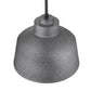 HomeRoots Barnes 1-Light Convertible Pendant in Gray Finish