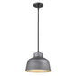 HomeRoots Barnes 1-Light Convertible Pendant in Gray Finish