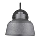 HomeRoots Barnes 1-Light Wall Light in Gray Finish