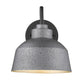 HomeRoots Barnes 1-Light Wall Light in Gray Finish