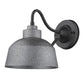 HomeRoots Barnes 1-Light Wall Light in Gray Finish
