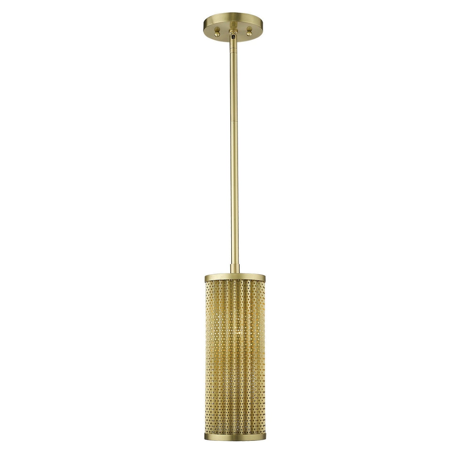 HomeRoots Basetti 1-Light Pendant in Gold Finish