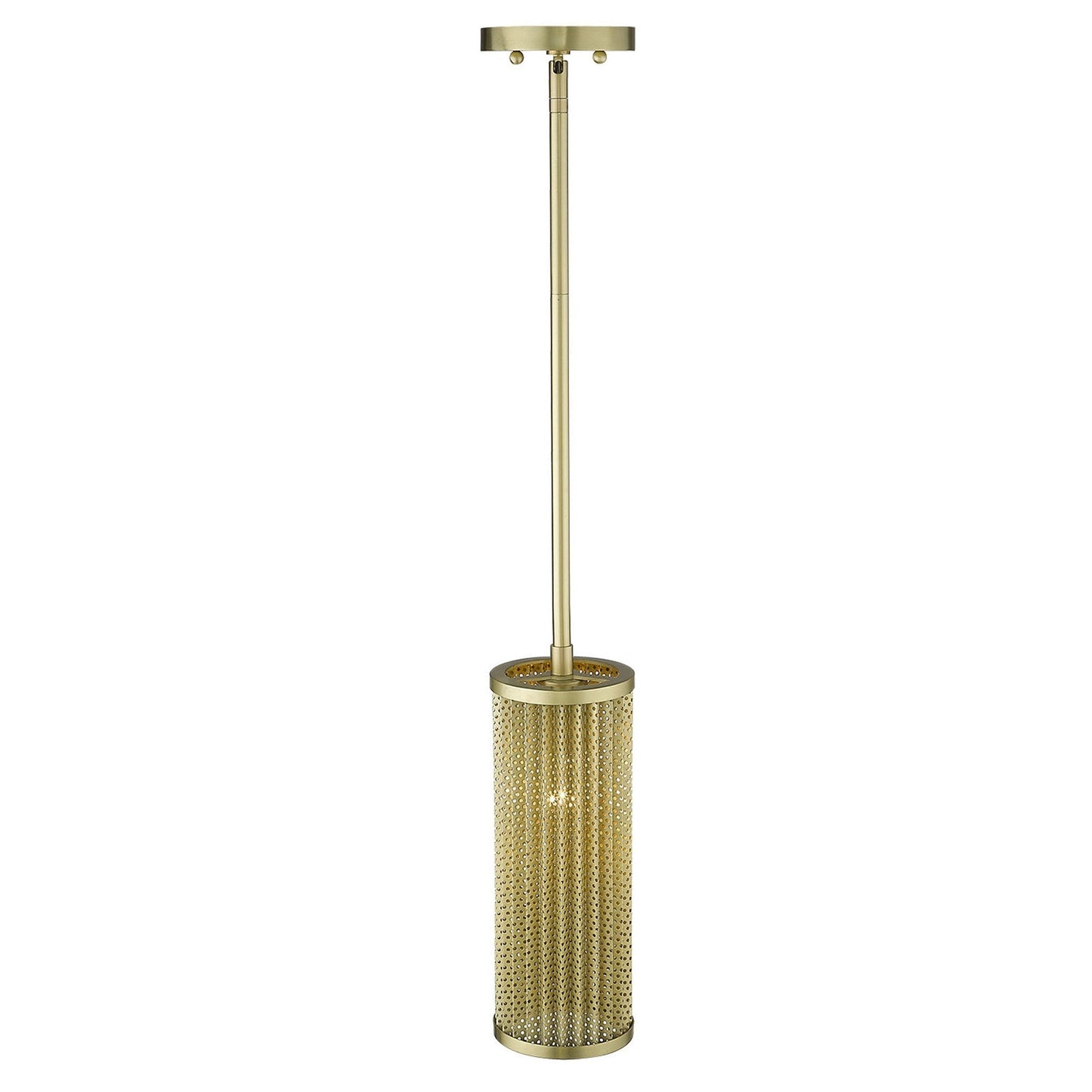 HomeRoots Basetti 1-Light Pendant in Gold Finish