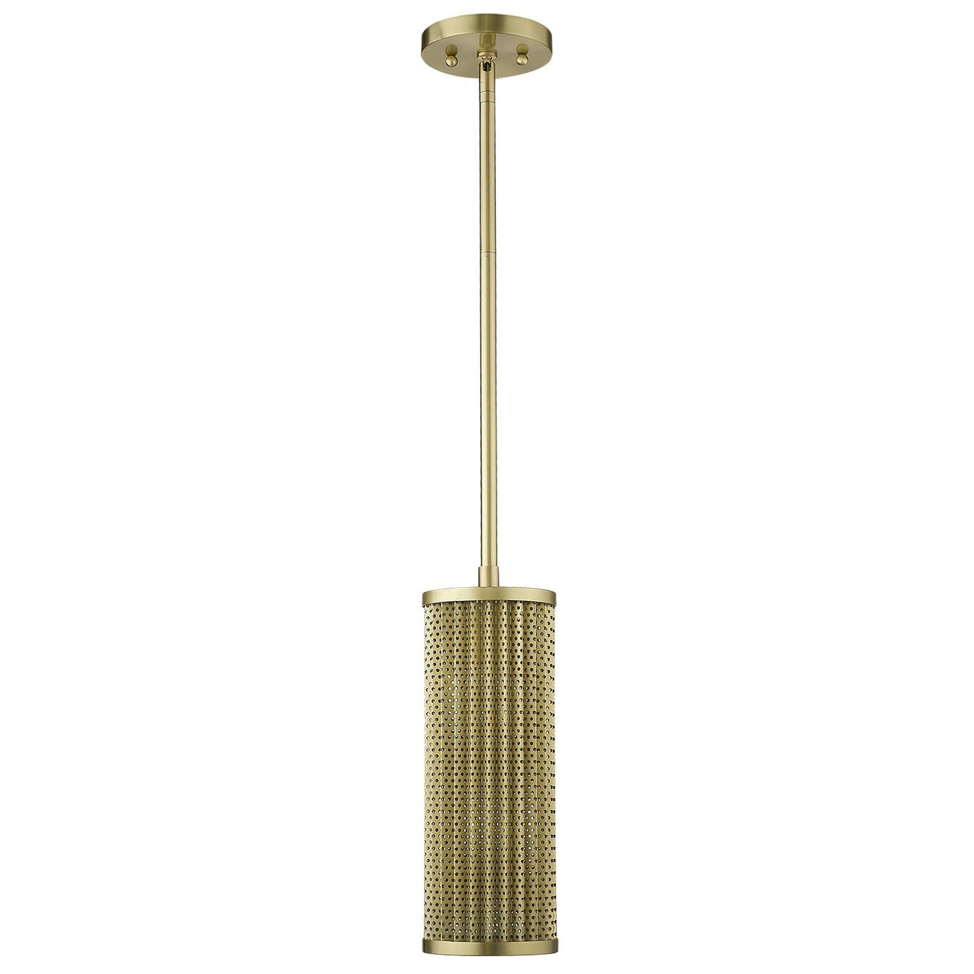 HomeRoots Basetti 1-Light Pendant in Gold Finish