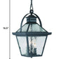 HomeRoots Bay Street 3-Light Hanging Light in Matte Black Finish