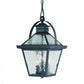 HomeRoots Bay Street 3-Light Hanging Light in Matte Black Finish