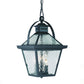 HomeRoots Bay Street 3-Light Hanging Light in Matte Black Finish