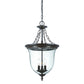 HomeRoots Belle 3-Light Architectural Hanging Light in Bronze Finish